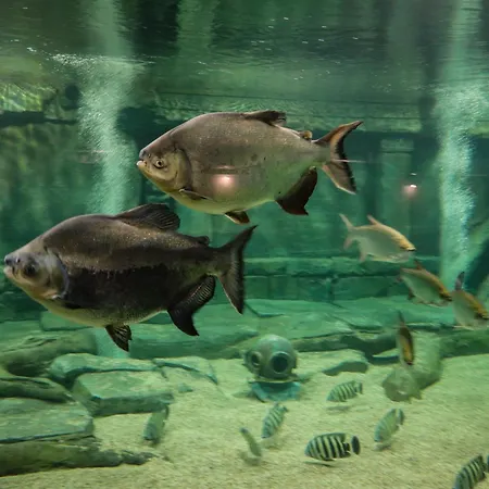 Hotel Meilenstein 4*