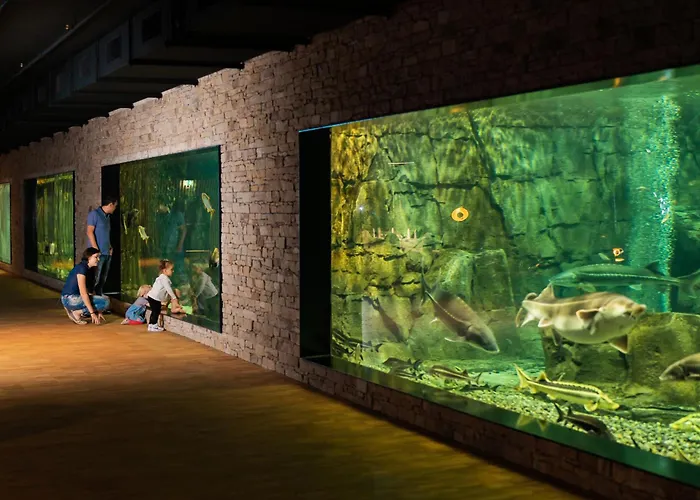 Meilenstein Langenthal