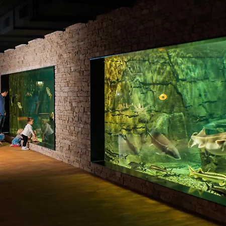 Meilenstein Langenthal