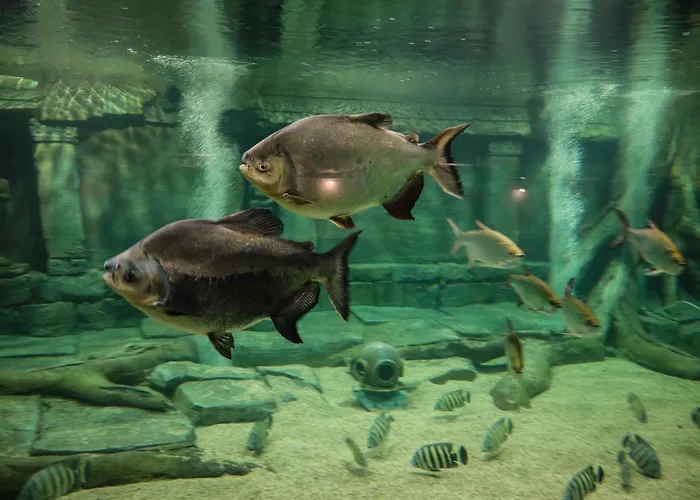 Отель Meilenstein 4*