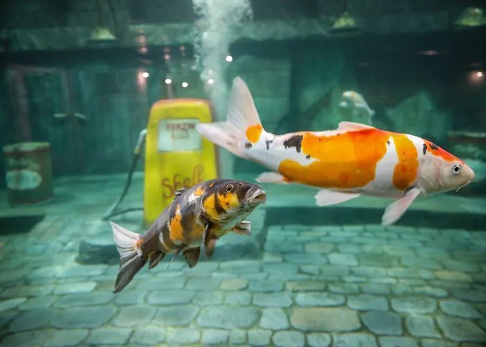 Отель Meilenstein